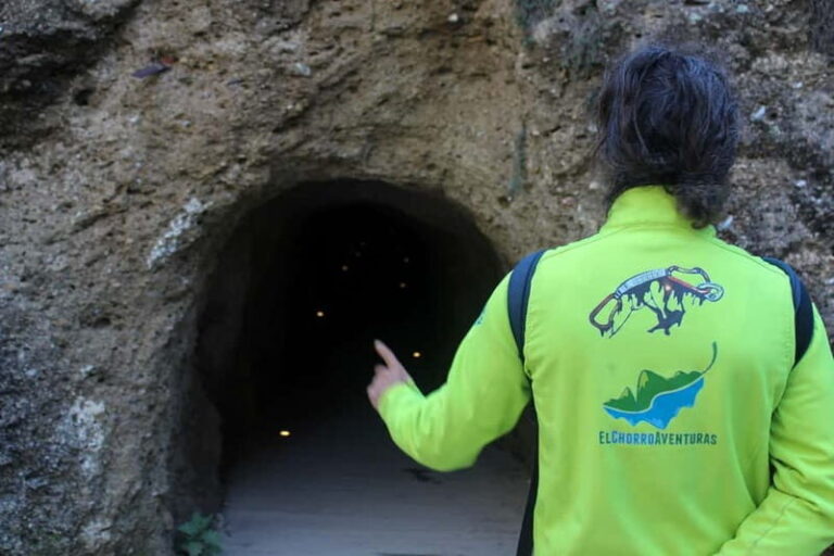 From Malaga: Caminito del Rey all included - Final Thoughts: Is This Tour Worth It?