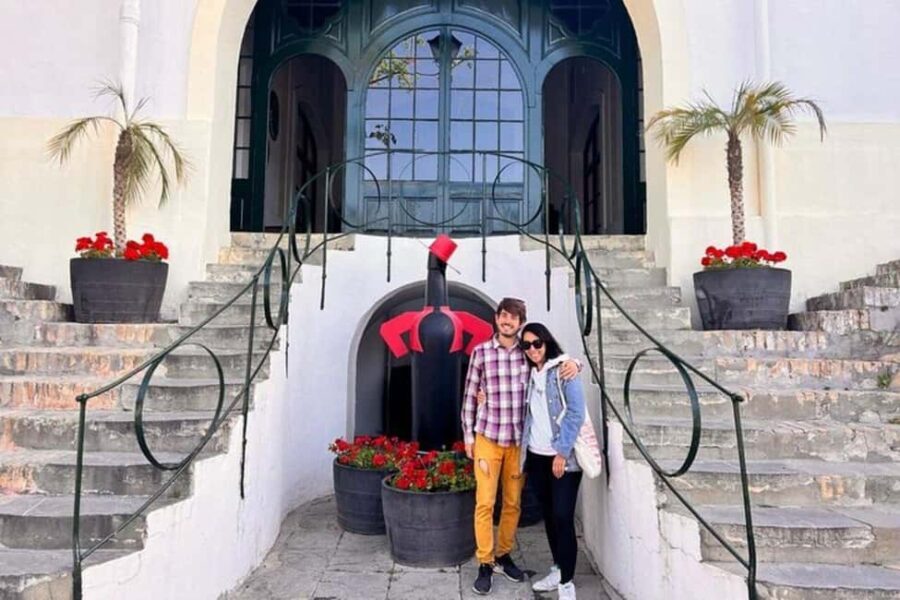 From Marbella: Cadiz and Jerez Private Daytrip - Who Should Consider This Tour?