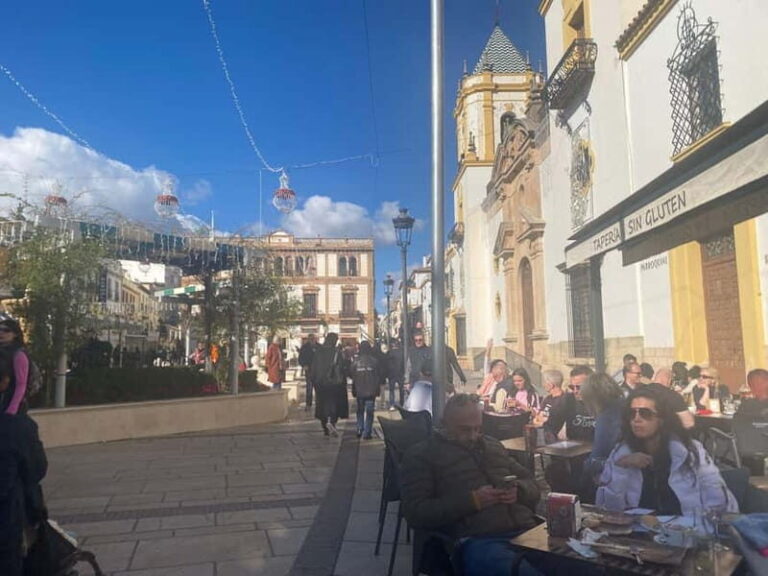 From Marbella: Ronda private tour, transportation, café, bullring, tapas, drinks - Who Is This Tour Best For?