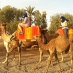 From Marrakech : 2-Day Tour to Zagora Desert. - Return Journey and Additional Sights