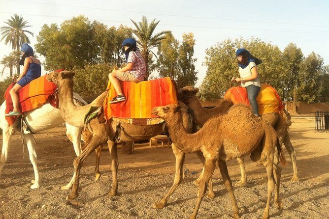From Marrakech : 2-Day Tour to Zagora Desert. - Return Journey and Additional Sights