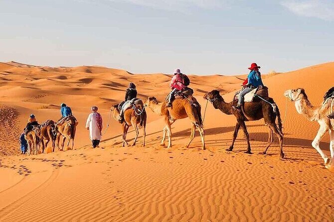 From Marrakech: 3-Day Desert Tour Share-Group And Camel trekking - Returning to Marrakech: Scenic Route and Cultural Highlights