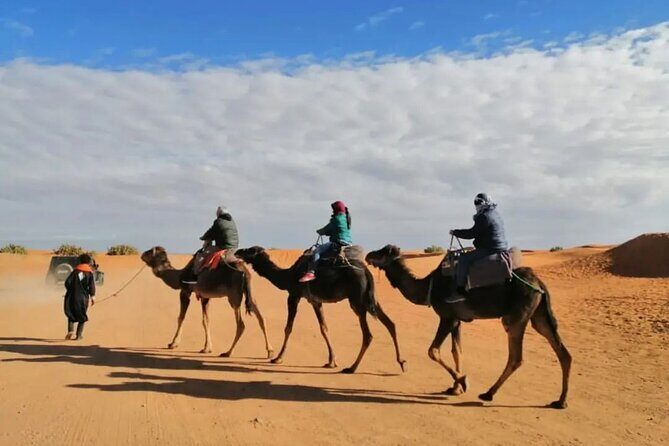 From Marrakech: 3Days 2Night Desert Tour via Ait Ben Haddou - Final Thoughts: Is This Tour Right for You?