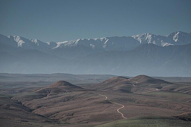 From Marrakech: Agafay Desert Camel Experience - Why This Tour Offers Good Value