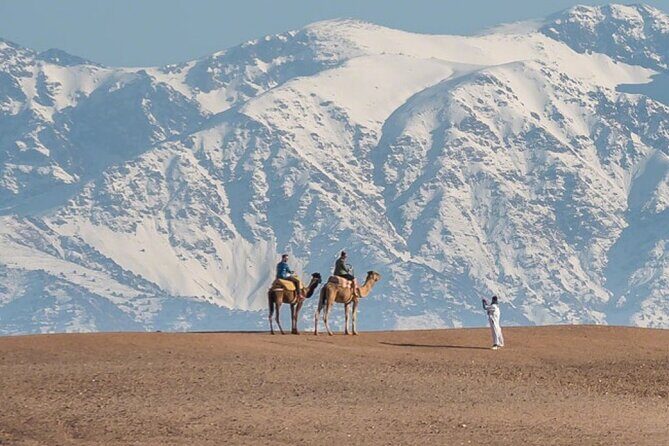 From Marrakech: Agafay Desert Camel Experience - Practical Tips & Considerations