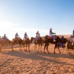 From Marrakech: Agafay Desert Camel Ride experience Dinner show - The Experience’s Unique Value
