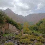 From MARRAKECH : Atlas Day Trip & Camel ,Agafay - Transportation and Group Size