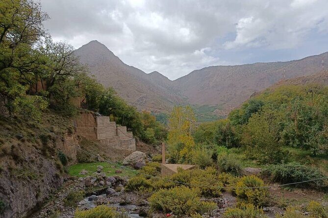 From MARRAKECH : Atlas Day Trip & Camel ,Agafay - Transportation and Group Size