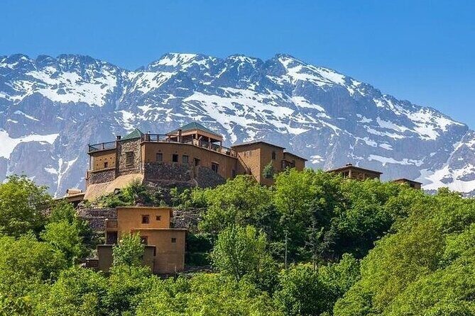 From Marrakech: Atlas Mountains and Agafay Desert Day Trip - What to Expect and Why It Matters