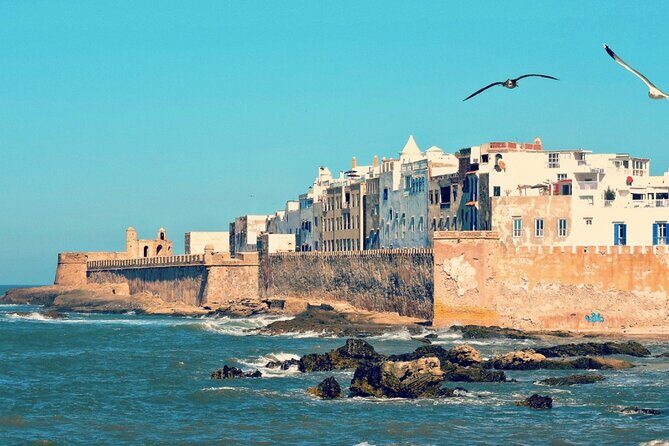From Marrakech: Day Journey to Essaouira Mogador - Transportation & Group Size