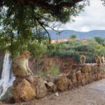 From Marrakech: Day trip to Ouzoud waterfalls and boat tour - Pricing and Value