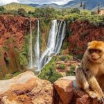 From Marrakech: Day Trip to Ouzoud Waterfalls Guided & Boat Ride - What Makes the Ouzoud Waterfalls Tour Special?