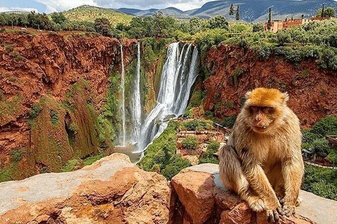 From Marrakech: Day Trip to Ouzoud Waterfalls Guided & Boat Ride - What Makes the Ouzoud Waterfalls Tour Special?