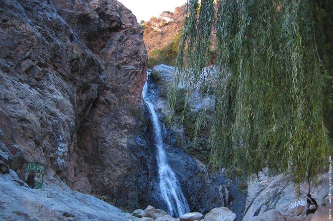 From Marrakech Full Day Trip To Ourika Valley Atlas Mountains - Why This Tour Is a Solid Choice