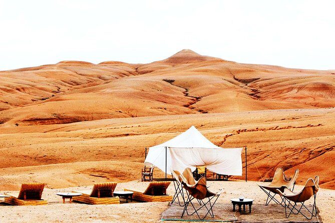 From Marrakech: Magical Dinner In Agafay Desert Under the Stars - Is This Tour Worth It?