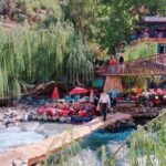 From Marrakech: Ourika Valley, Atlas, Waterfalls & Guide - Things to Consider