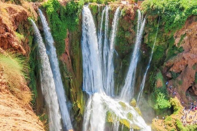 From Marrakech: Ouzoud Waterfalls Guided Tour & Boat Ride - The Local Flavor & Optional Extras