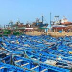 From Marrakech To Essaouira Mogador Full Day Trip | Small-group - Pricing and Value
