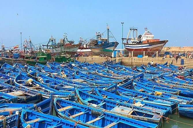 From Marrakech To Essaouira Mogador Full Day Trip | Small-group - Pricing and Value