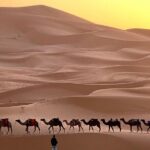 From Marrakech To Fes: 3-Day Desert Tour with Food and Hotel - Day 1: From Marrakech to the Dades Valley