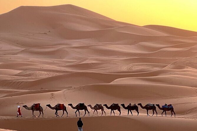 From Marrakech To Fes: 3-Day Desert Tour with Food and Hotel - Day 1: From Marrakech to the Dades Valley