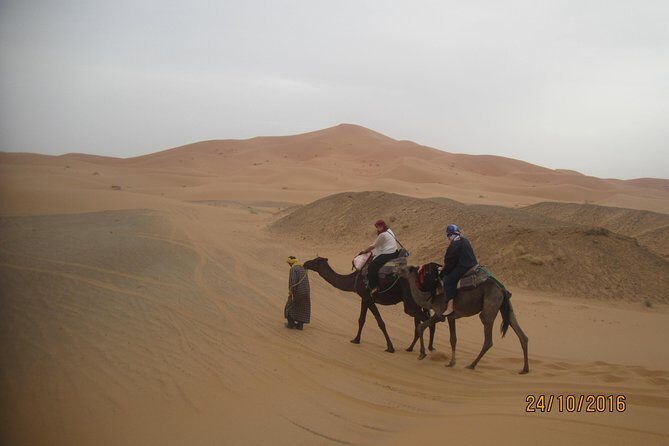From Marrakech:3 Days Desert Tour to Erg Chebbi of Merzouga - What to Expect from the Tour