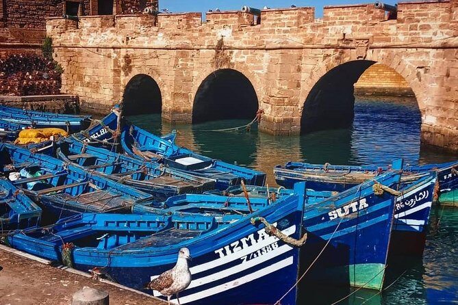 From Marrakesh: Essaouira Full-Day Trip - Transportation and Timing