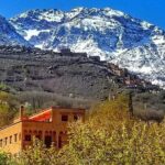 From Marrakesh: Zip-Line & Hike in the Atlas Mountains - Analysis of the Tours Value