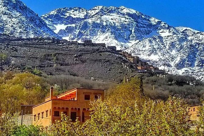 From Marrakesh: Zip-Line & Hike in the Atlas Mountains - Analysis of the Tours Value