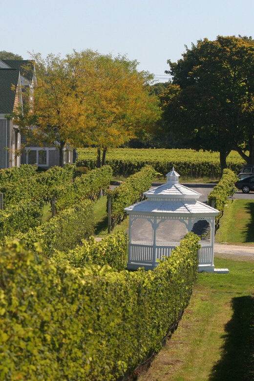 From Mattituck: Guided Brewery and Vineyard Tour by Bicycle - Analyzing the Value