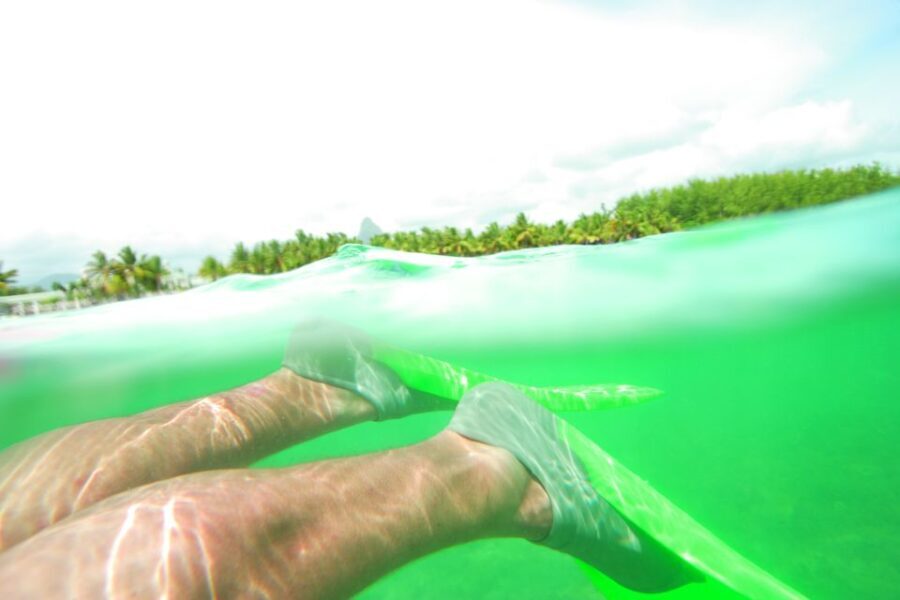 From Miami: Key West with Dolphin Watch or Snorkel Boat - A Detailed Look at the Tour Experience