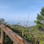 From Naples: Explore Herculaneum Ruins and Vesuvius - Practical Details and Tips