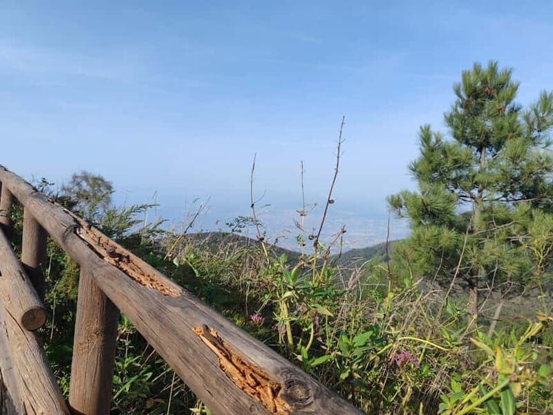From Naples: Explore Herculaneum Ruins and Vesuvius - Practical Details and Tips