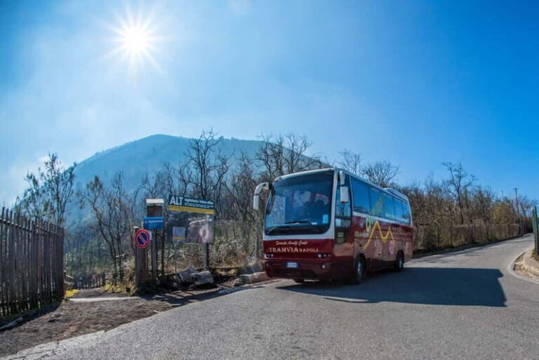 From Naples: Explore Pompeii and Vesuvius by bus - What’s Not Included & What to Bring