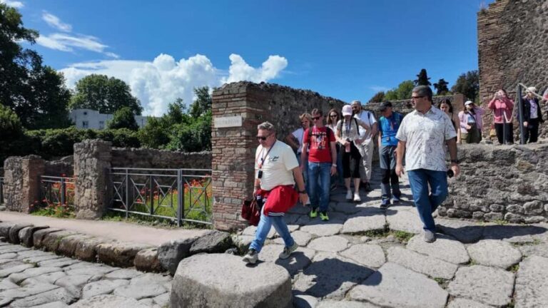 From Naples Port: Pompeii Guided Walking tour or Audioguide - The Workflow: How the Tour Unfolds