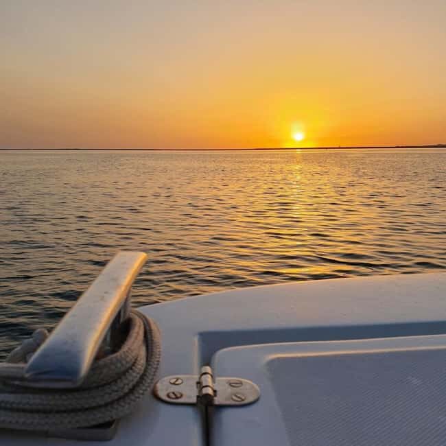 From Olhão: Ria Formosa Sunset Island Boat Tour - What You’ll Gain from This Tour