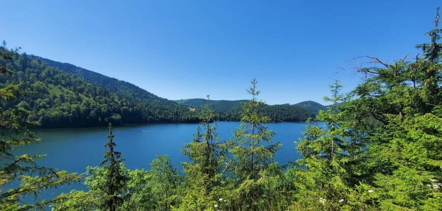 From Oradea: Mountain Bike around Lake Dragan - The Trail: From Forests to Remote Villages