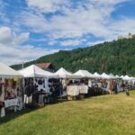 From Piatra Neam: Neam Citadel and Târgu Neam Guided Tour - A Detailed Look at the Tour Experience