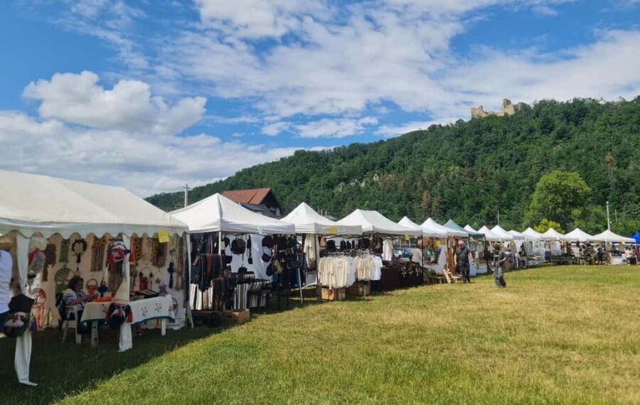 From Piatra Neam: Neam Citadel and Târgu Neam Guided Tour - A Detailed Look at the Tour Experience