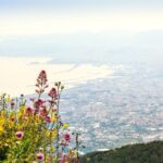 From Pompeii: Bus Transfer to Vesuvius with Park Entry Fee - The Descent and Return
