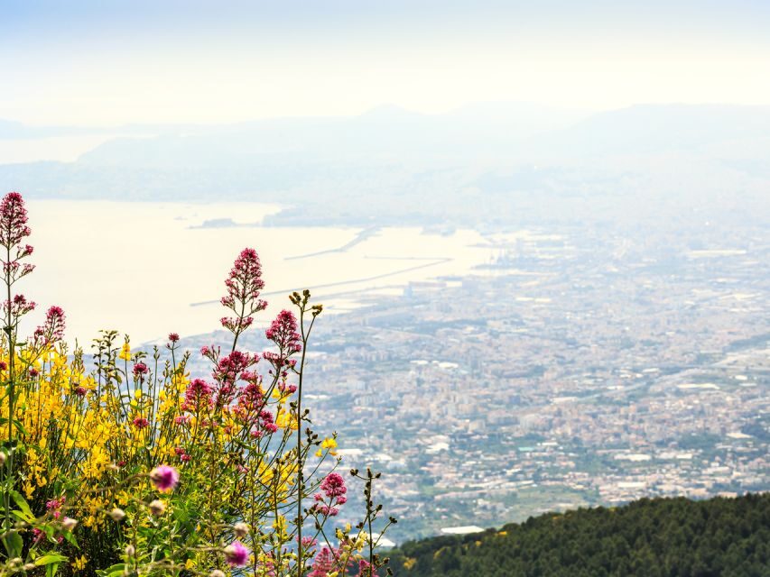 From Pompeii: Bus Transfer to Vesuvius with Park Entry Fee - The Descent and Return