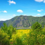From Pompeii: Mount Vesuvius Hike & Tour by Bus - Why This Tour Delivers Great Value