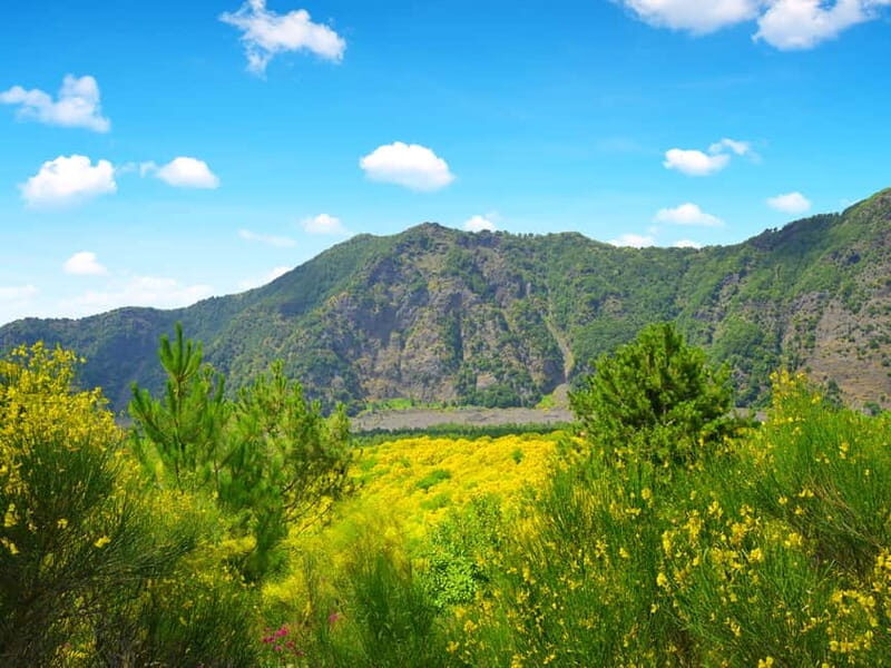 From Pompeii: Mount Vesuvius Hike & Tour by Bus - Why This Tour Delivers Great Value