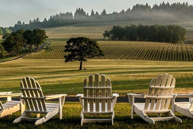 From Portland Private Willamette Valley Wine Tour - Transportation and Logistics