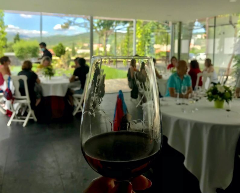 From Porto: luxury tour with full lunch at Quinta da Pacheca - What’s Included and Why It Matters