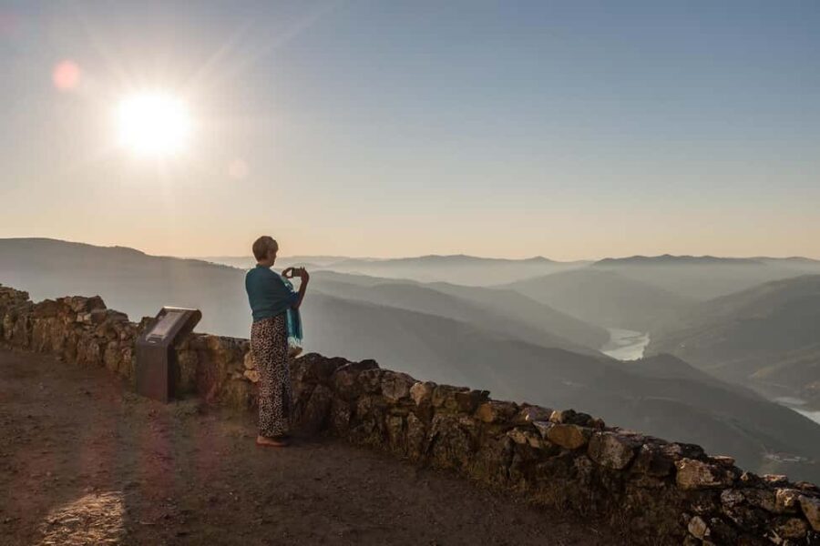 From Porto: Wine Tasting with Lunch at a Farm and Cruise - What’s Included and What to Keep in Mind