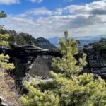 From Prague: Bohemian and Saxon Switzerland Full-Day Tour - Authentic Experiences and Helpful Insights from Reviewers