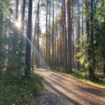 From Riga: Kemeri Bog & Seaside Jurmala - Exploring the Itinerary: What Makes Each Stop Special