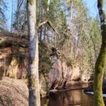 From Riga: Ligatne Village and Gauja River National Park - A Detailed Look at the Itinerary