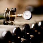From Rome: Cantina Le Macchie Winery Tour and Tasting - What to Expect During the Tour
